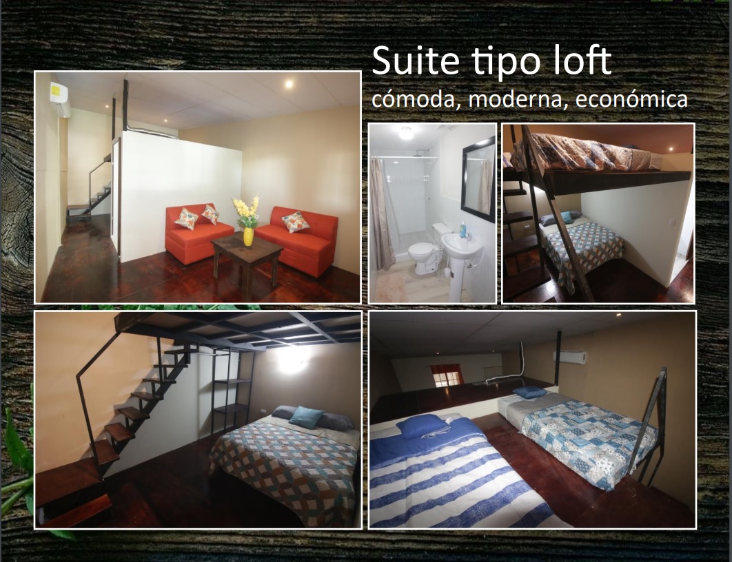 Suite Tipo Loft